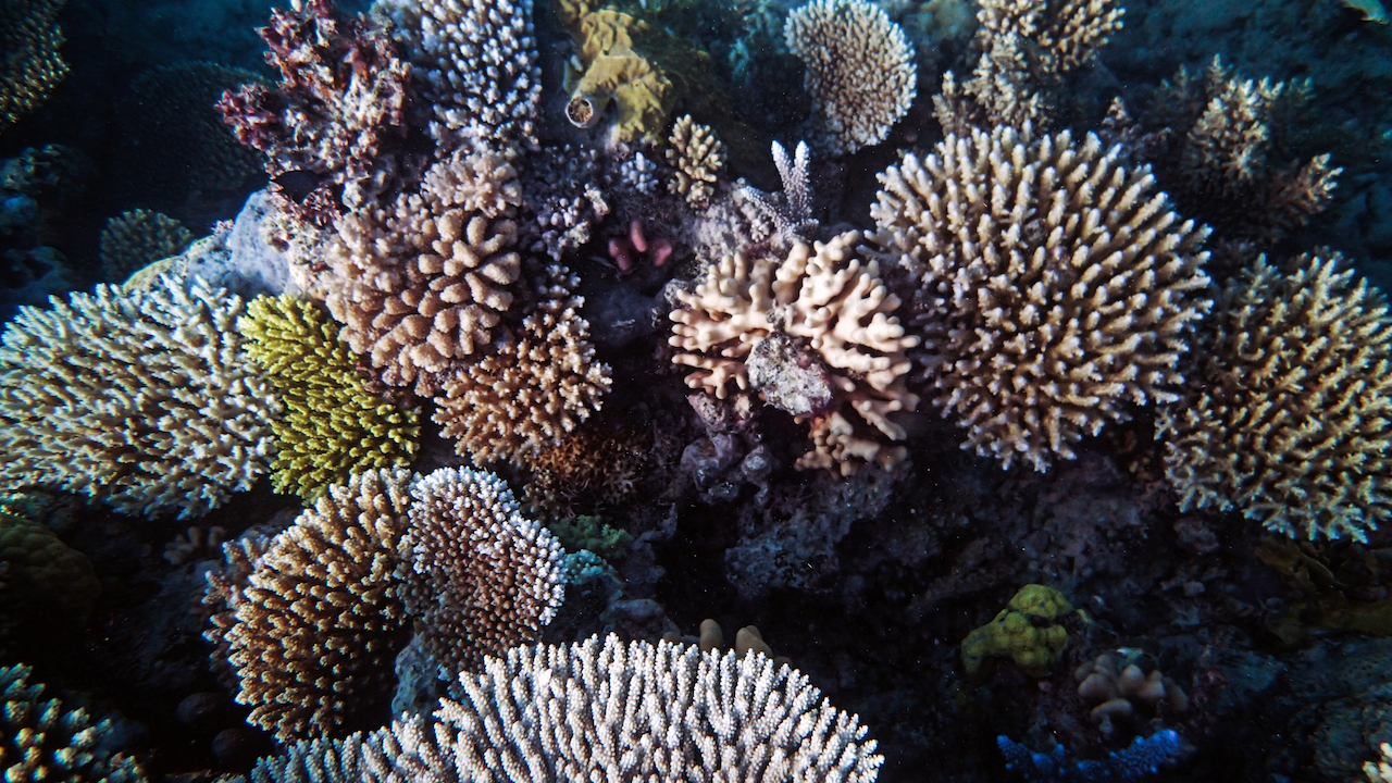P9130048.png