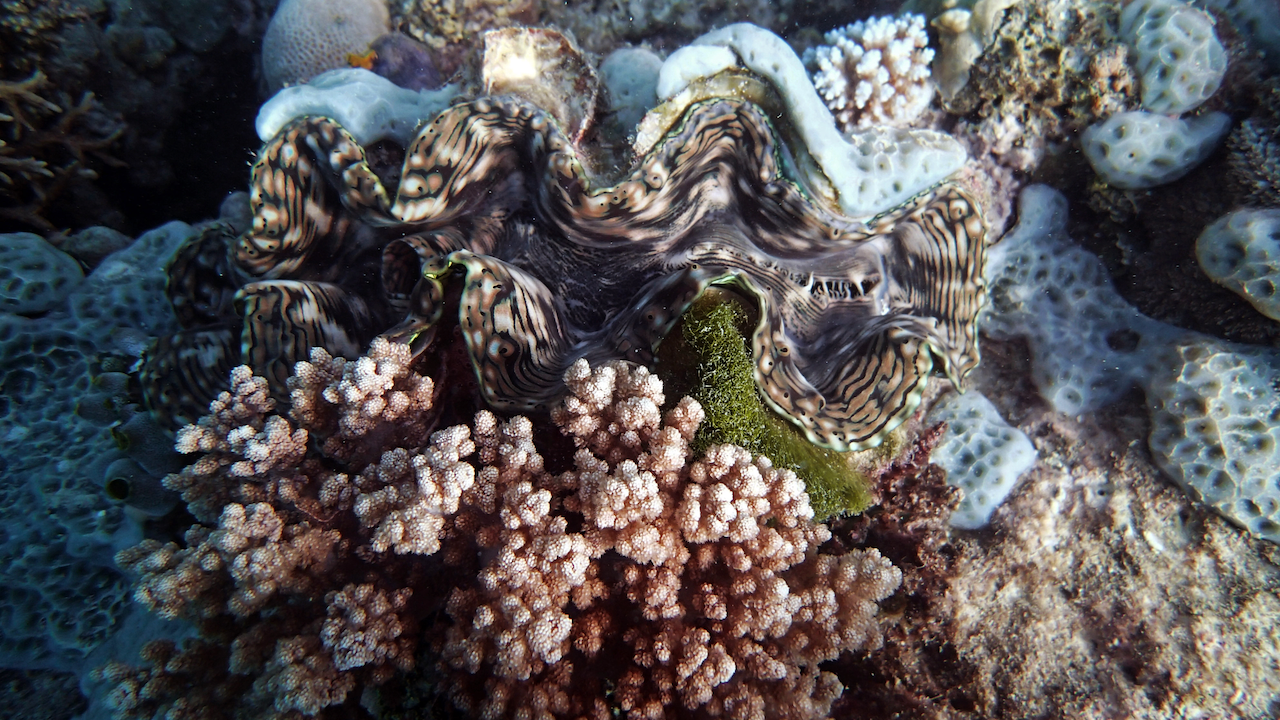 P9130041.png