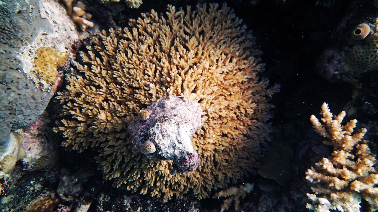 P9130037.png