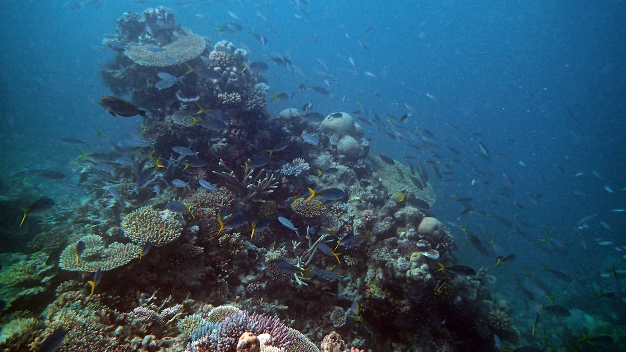 P9130053.png