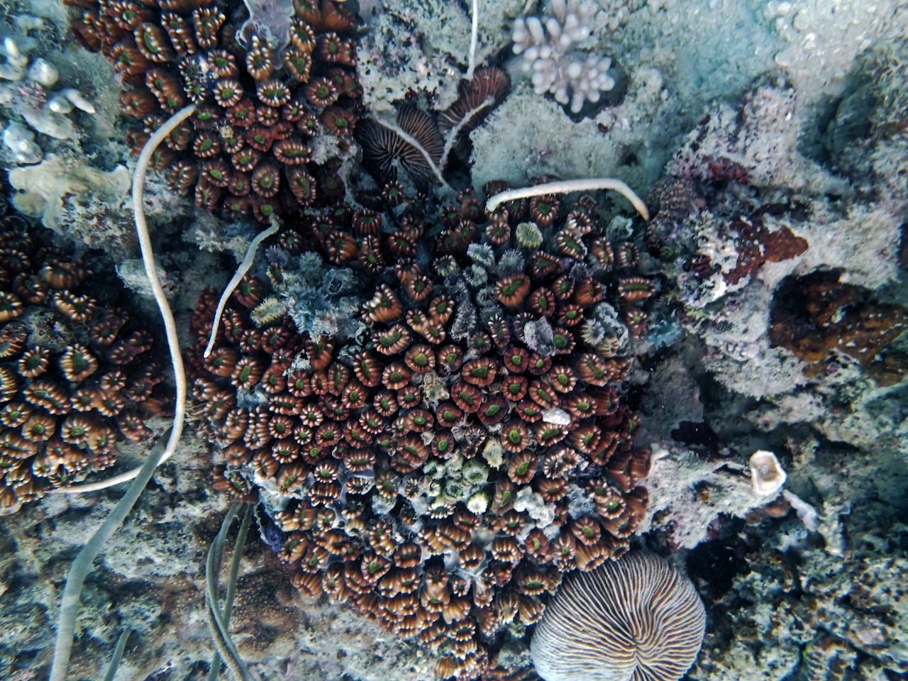 P9140034.png
