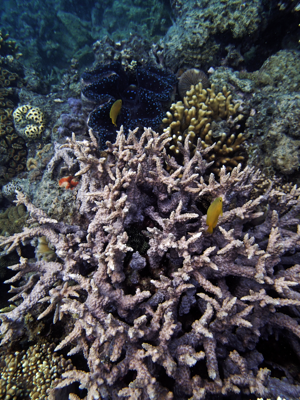P9140058.png