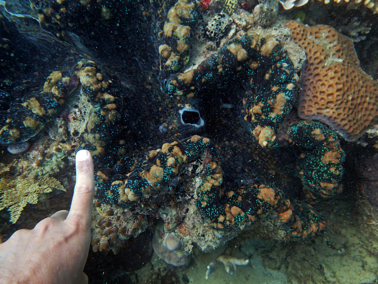 P9140051.png