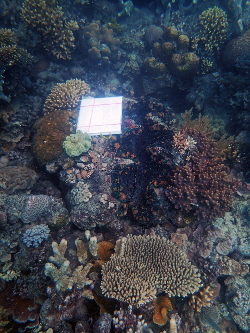 P9140054.png