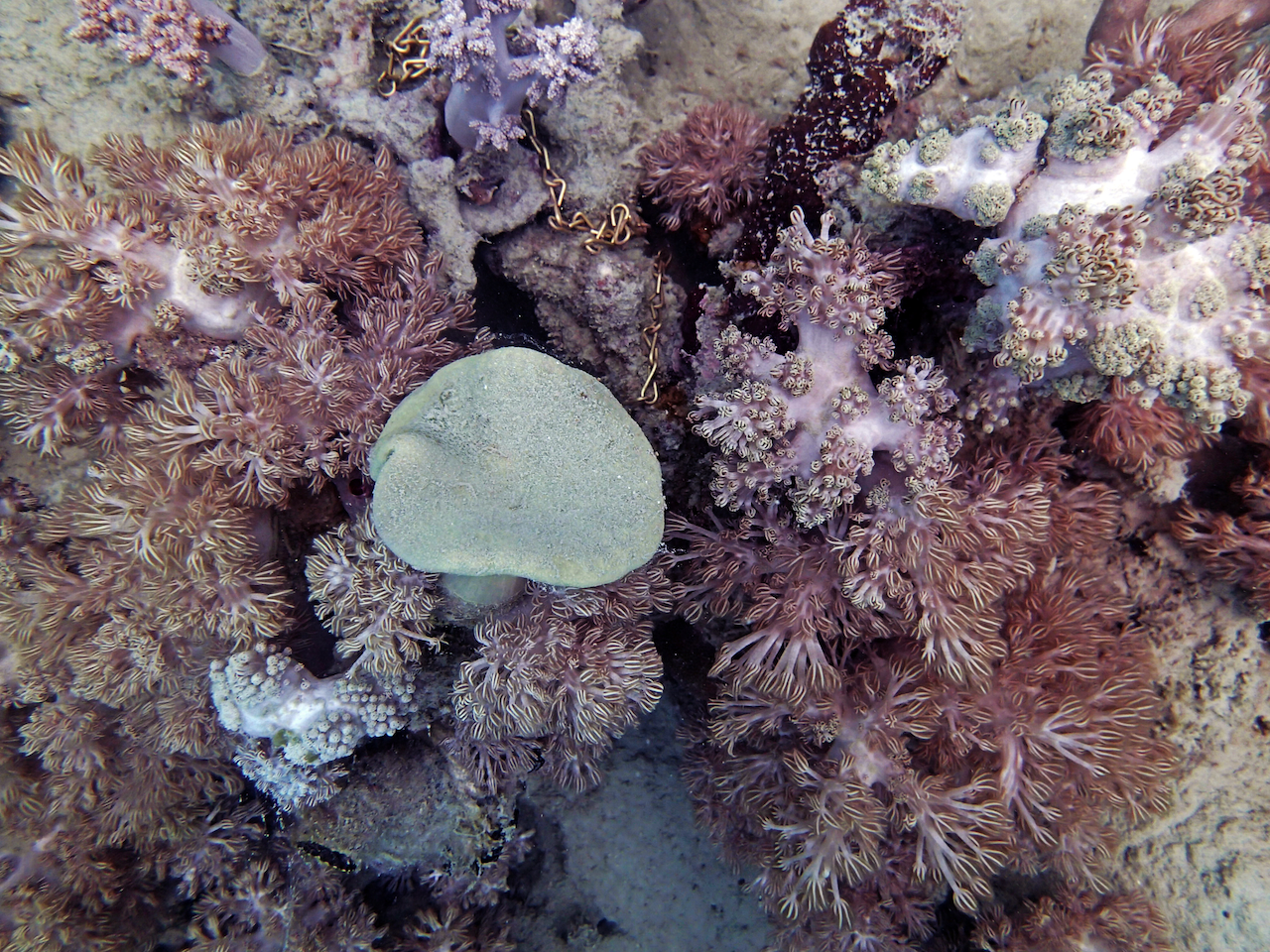P9140092.png