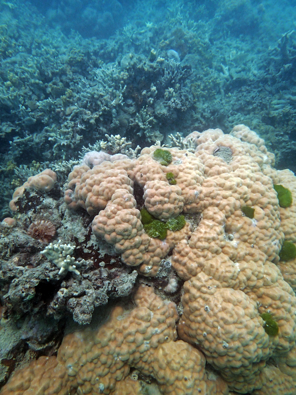 P9140103.png
