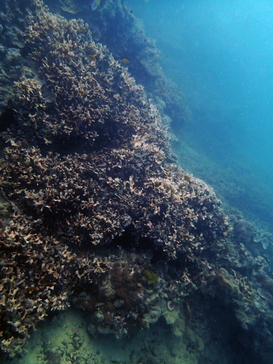 P9140082.png