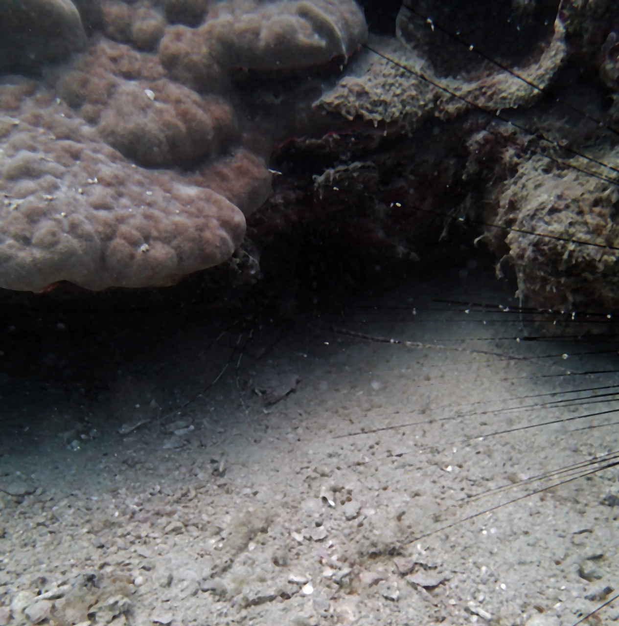 P9140063.png
