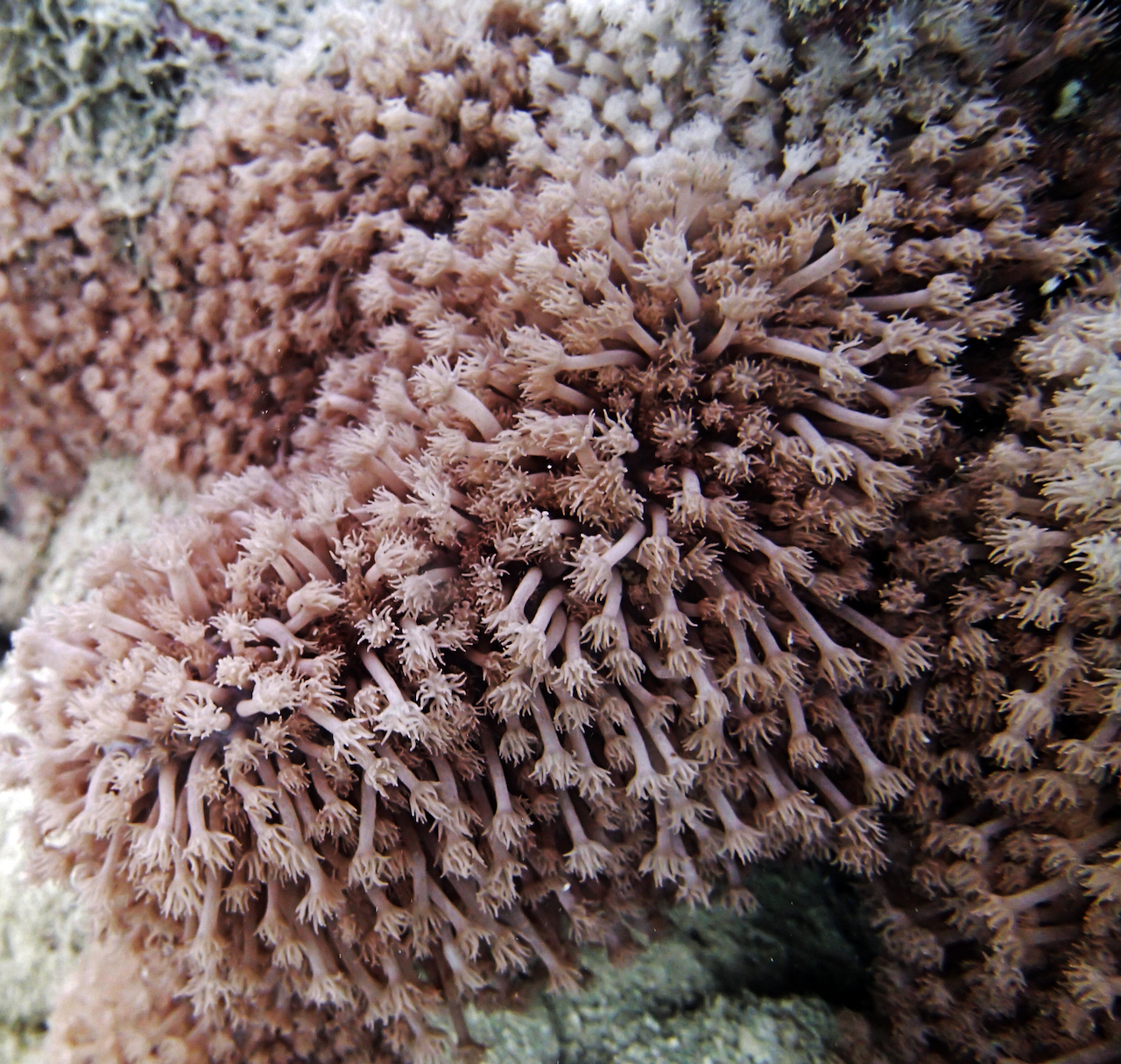 P9140122.png