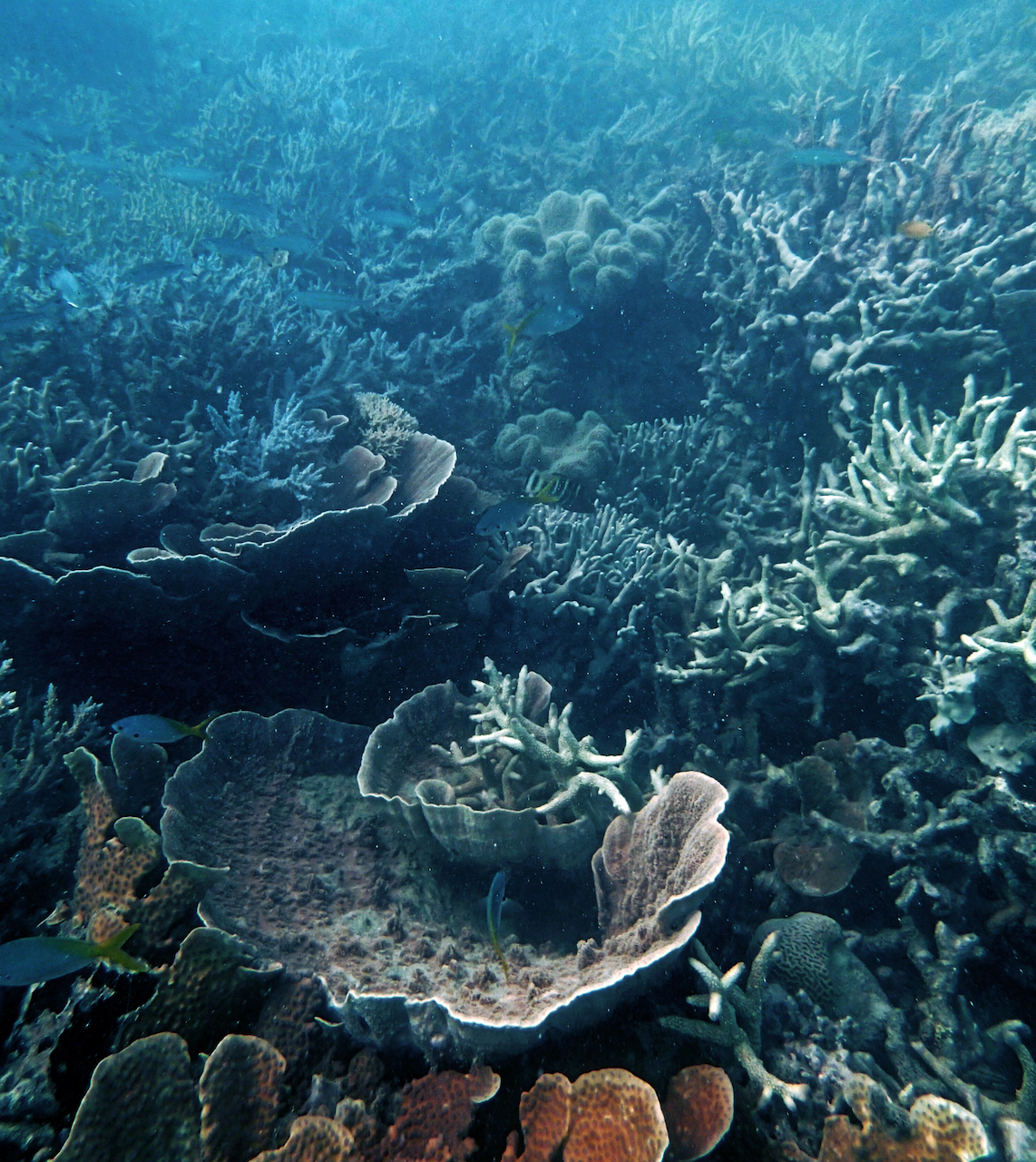 P9140138.png