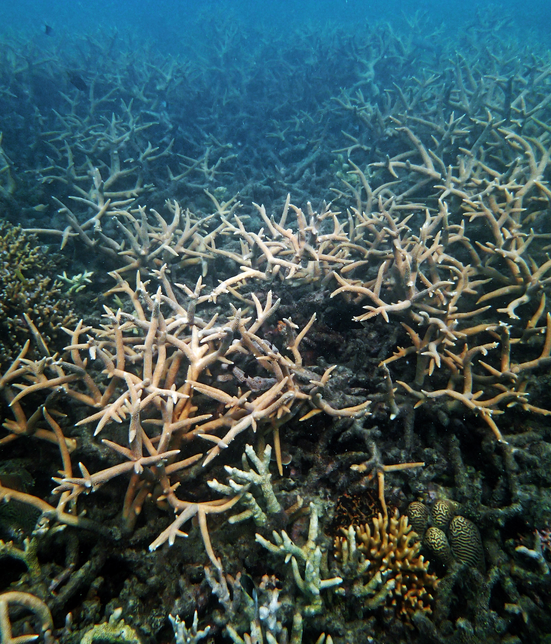 P9140143.png