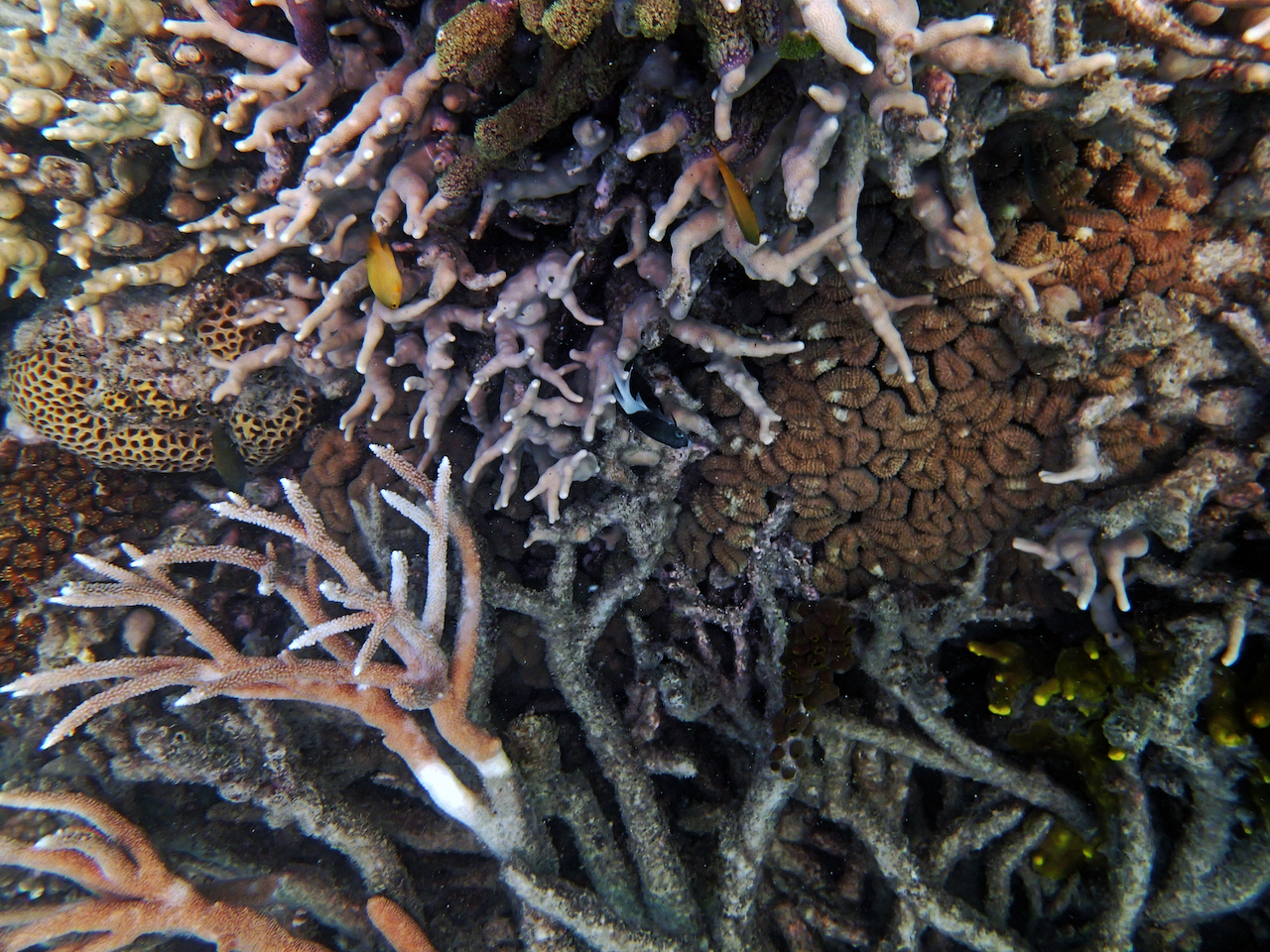 P9140141.png