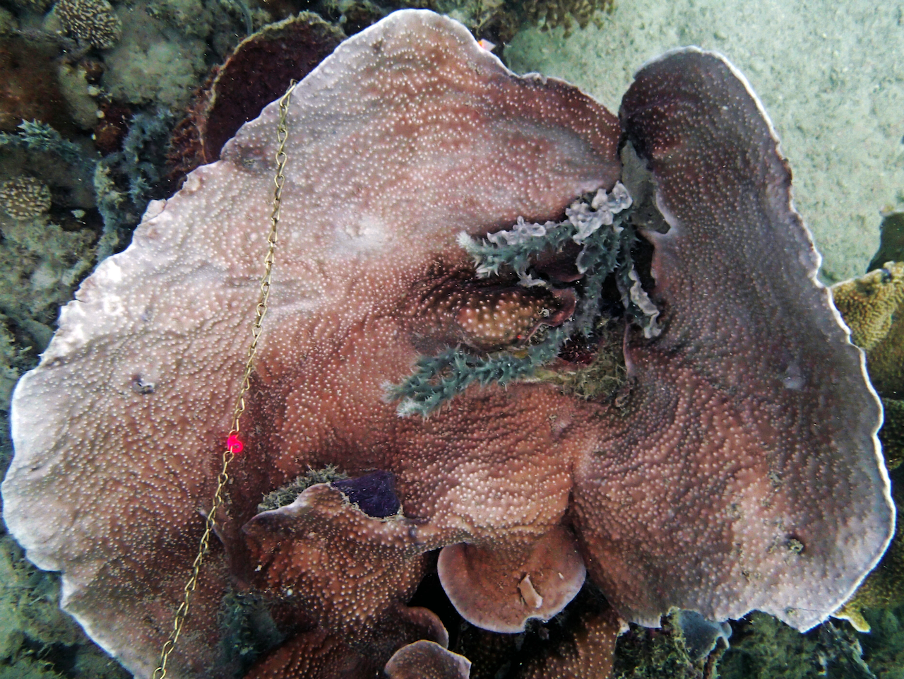 P9140100.png