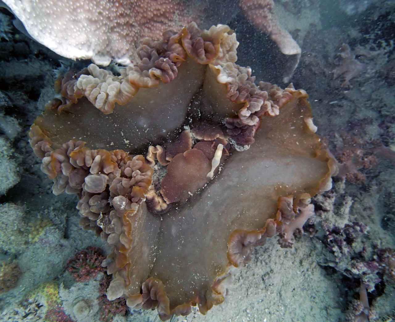 P9140108.png