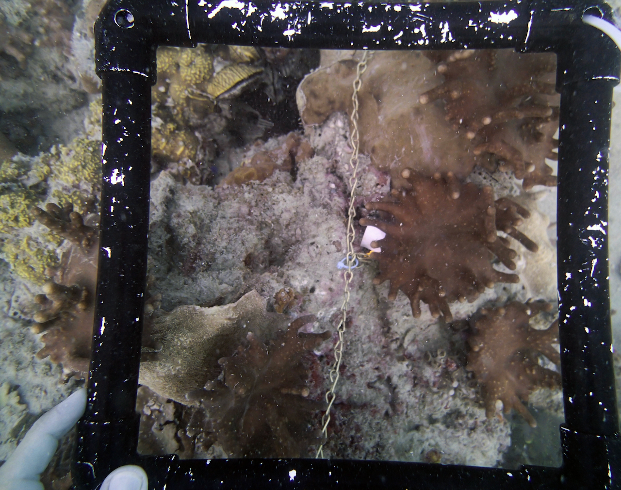 P9140112.png