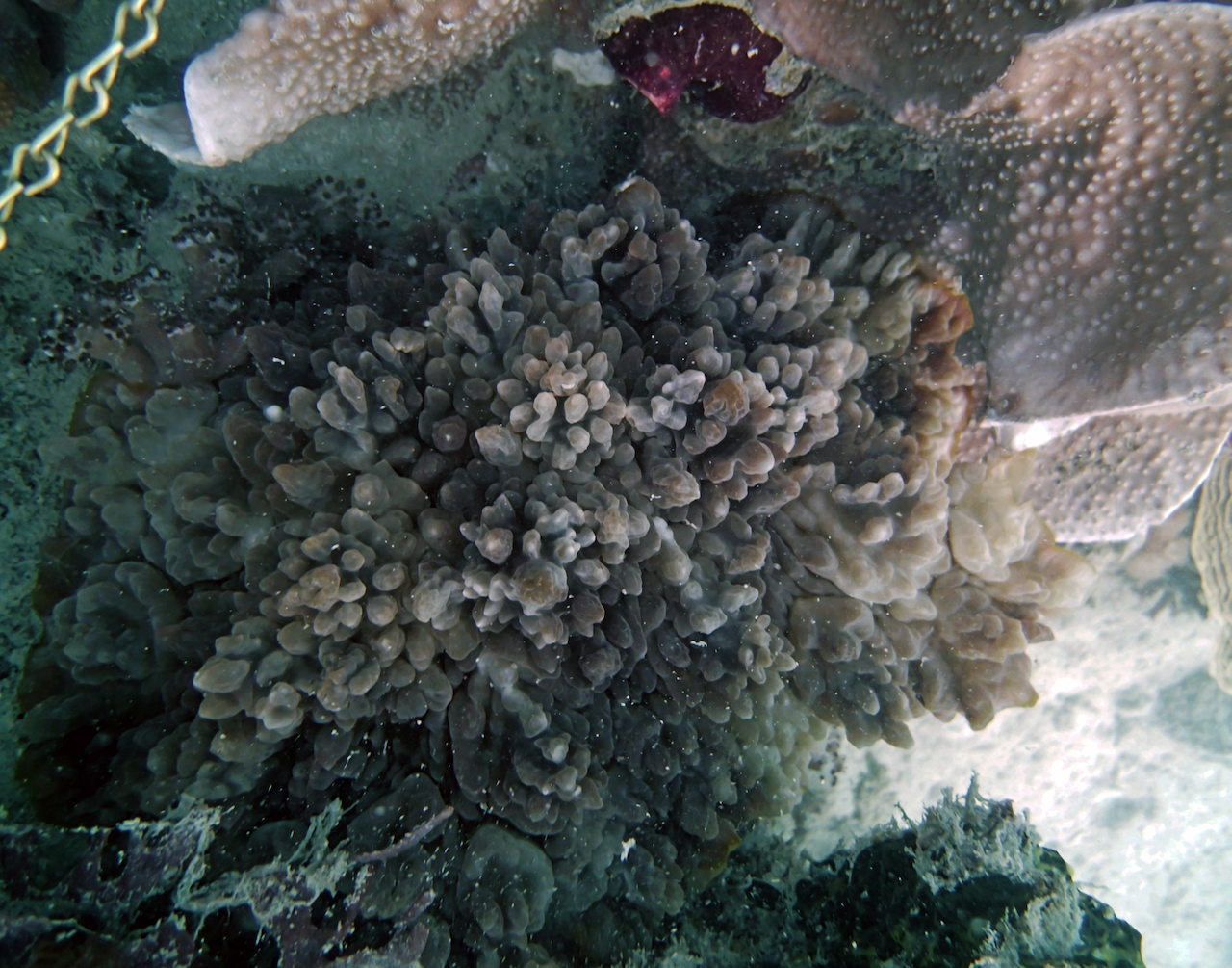 P9140101.png
