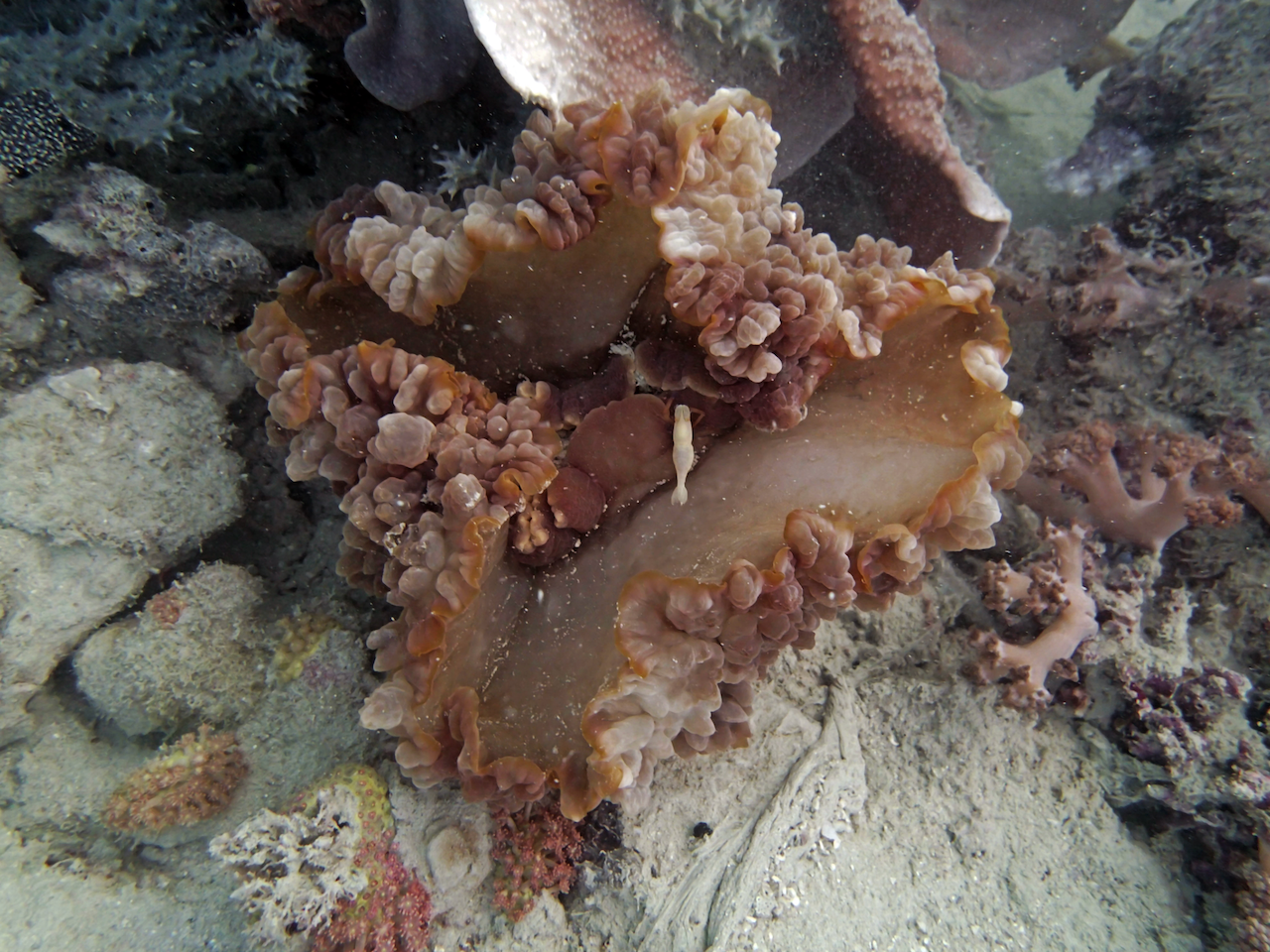 P9140109.png