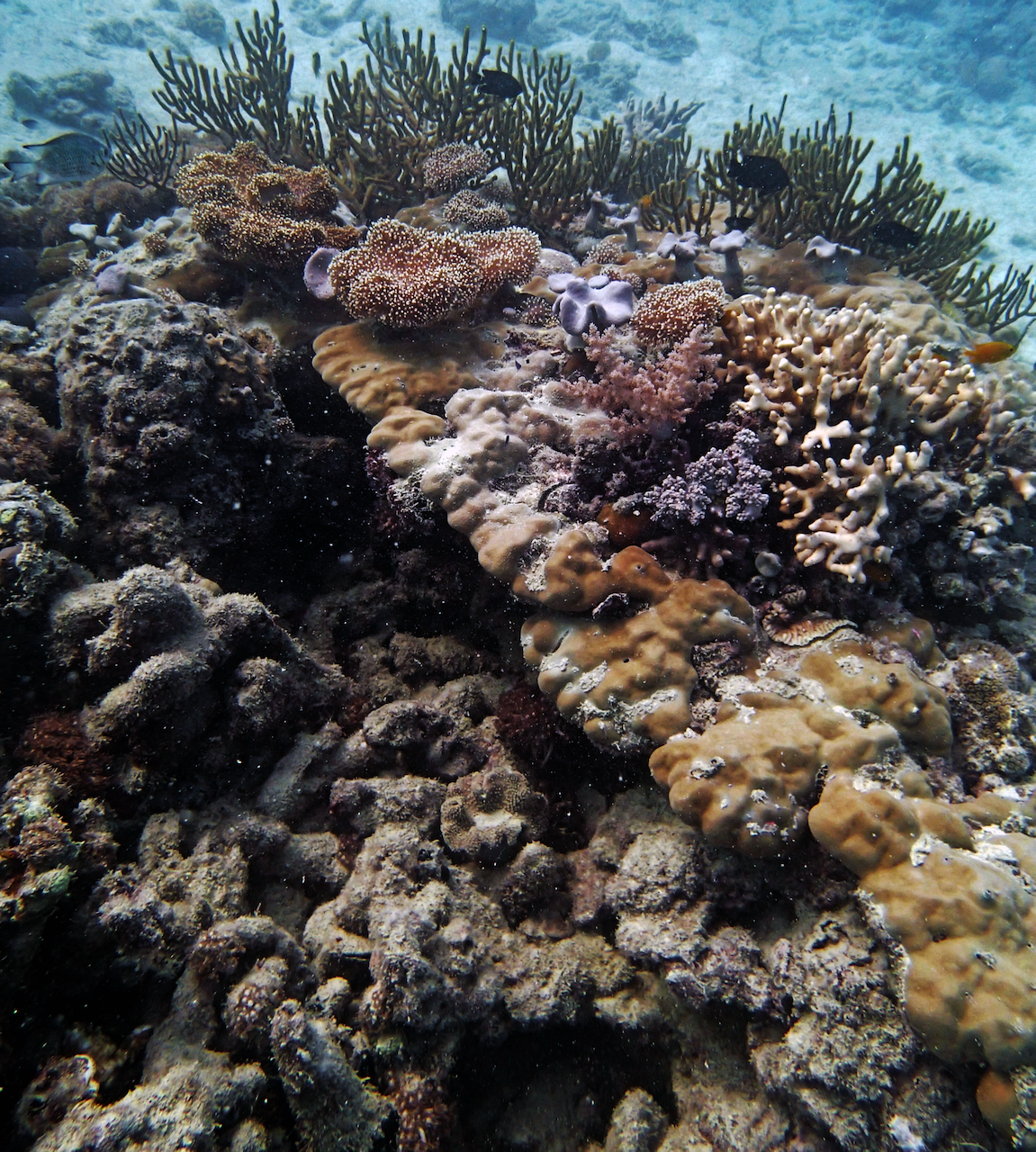 P9150063.png