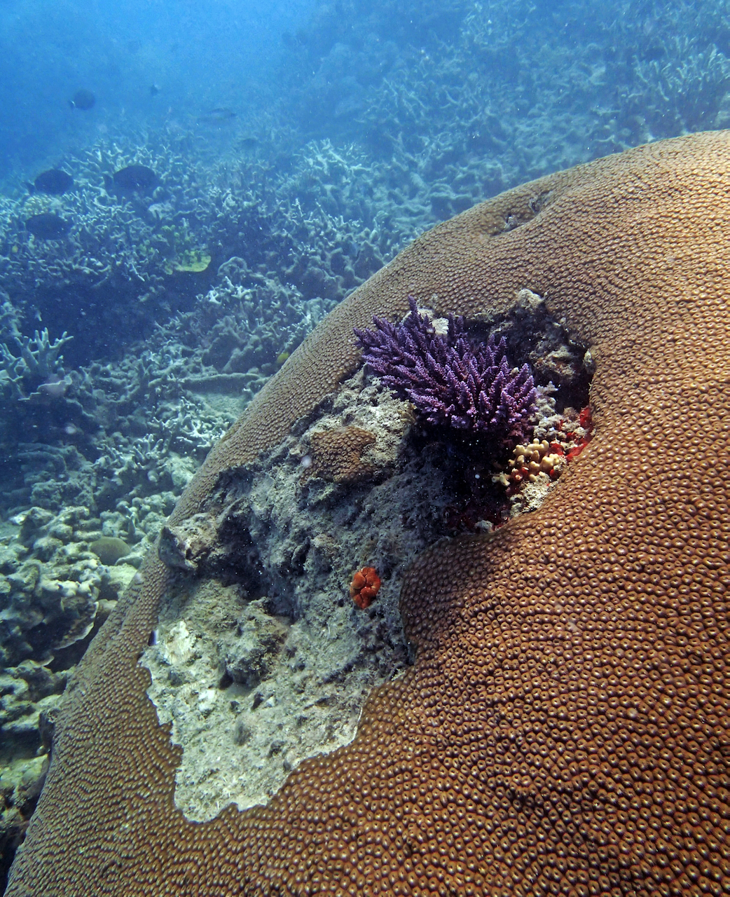 P9150111.png
