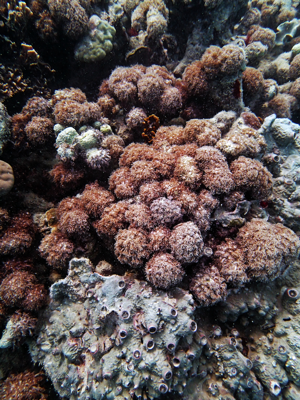P9150064.png