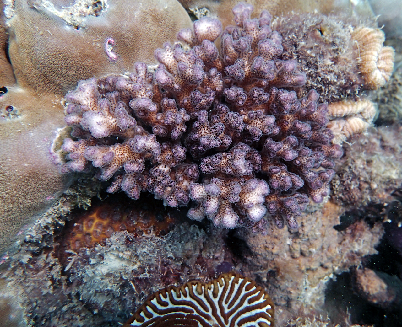 P9150115.png