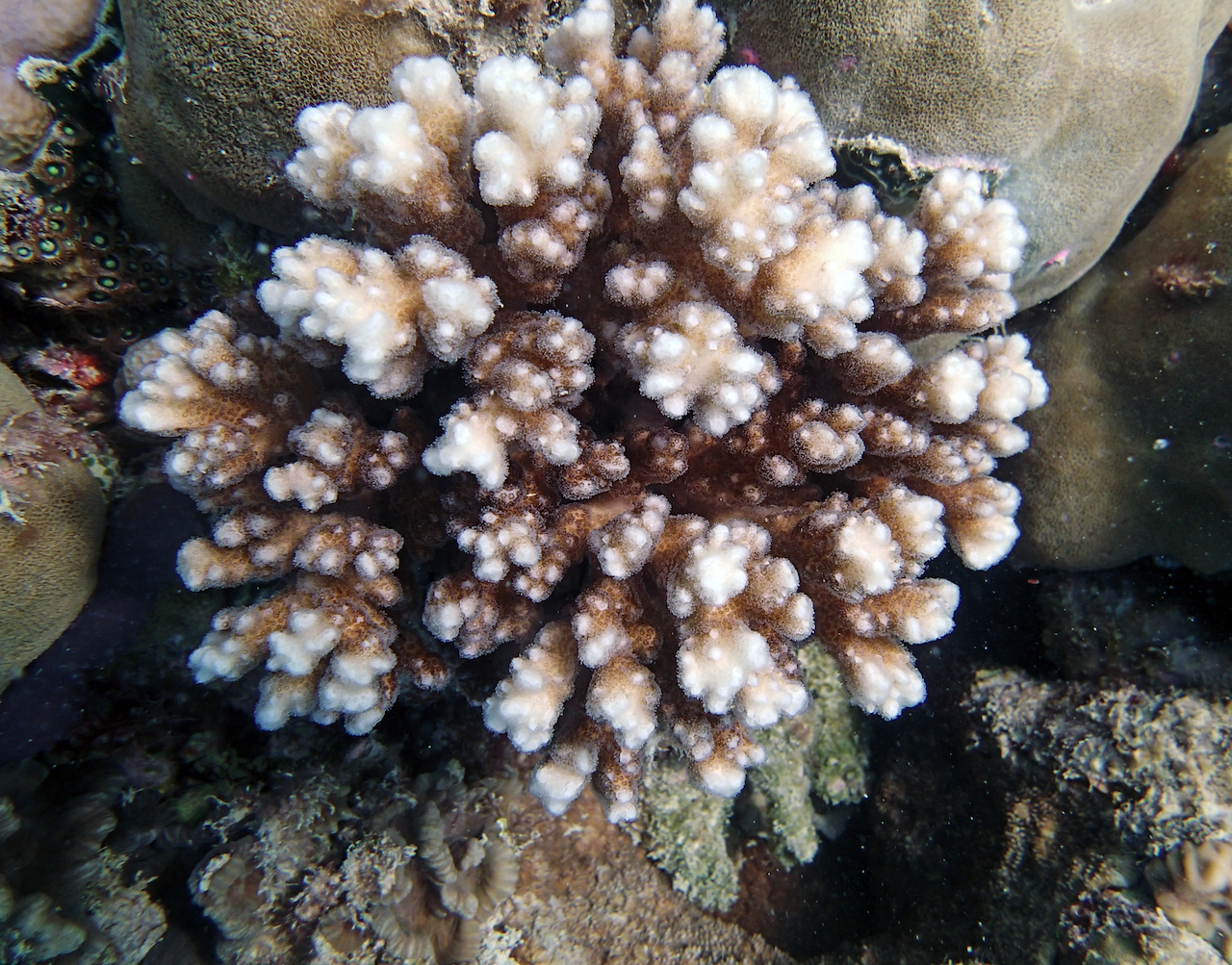 P9150116.png
