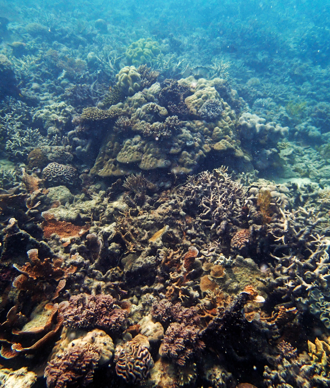 P9150141.png