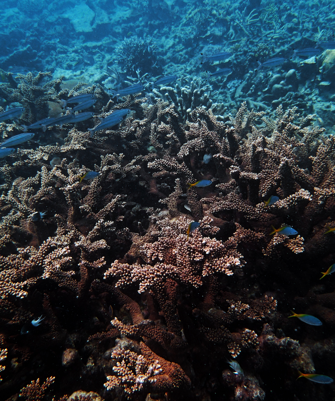 P9150167.png