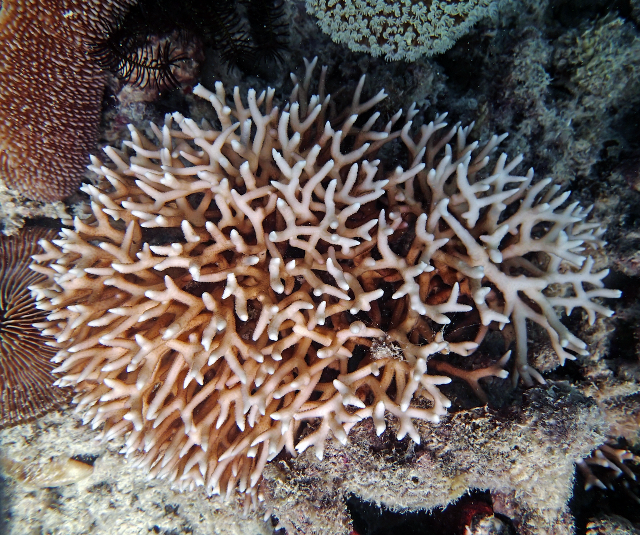 P9150148.png