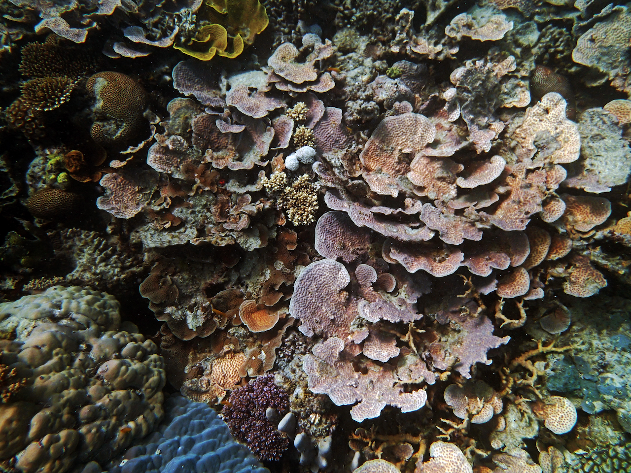 P9150165.png