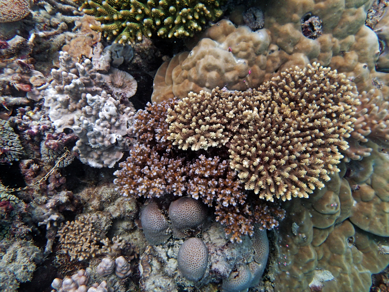 P9150155.png