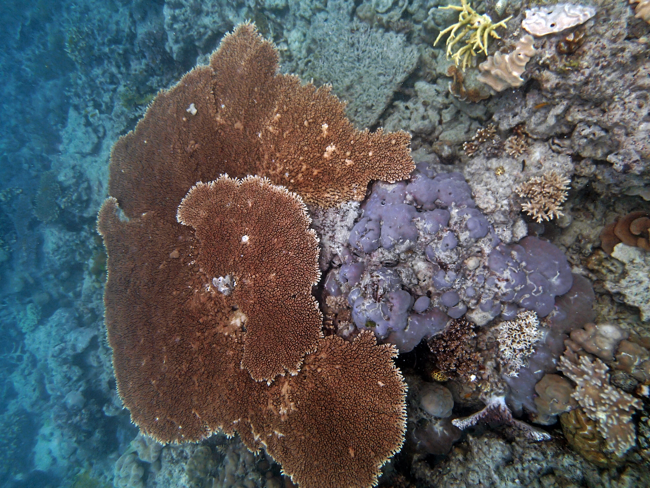 P9150169.png
