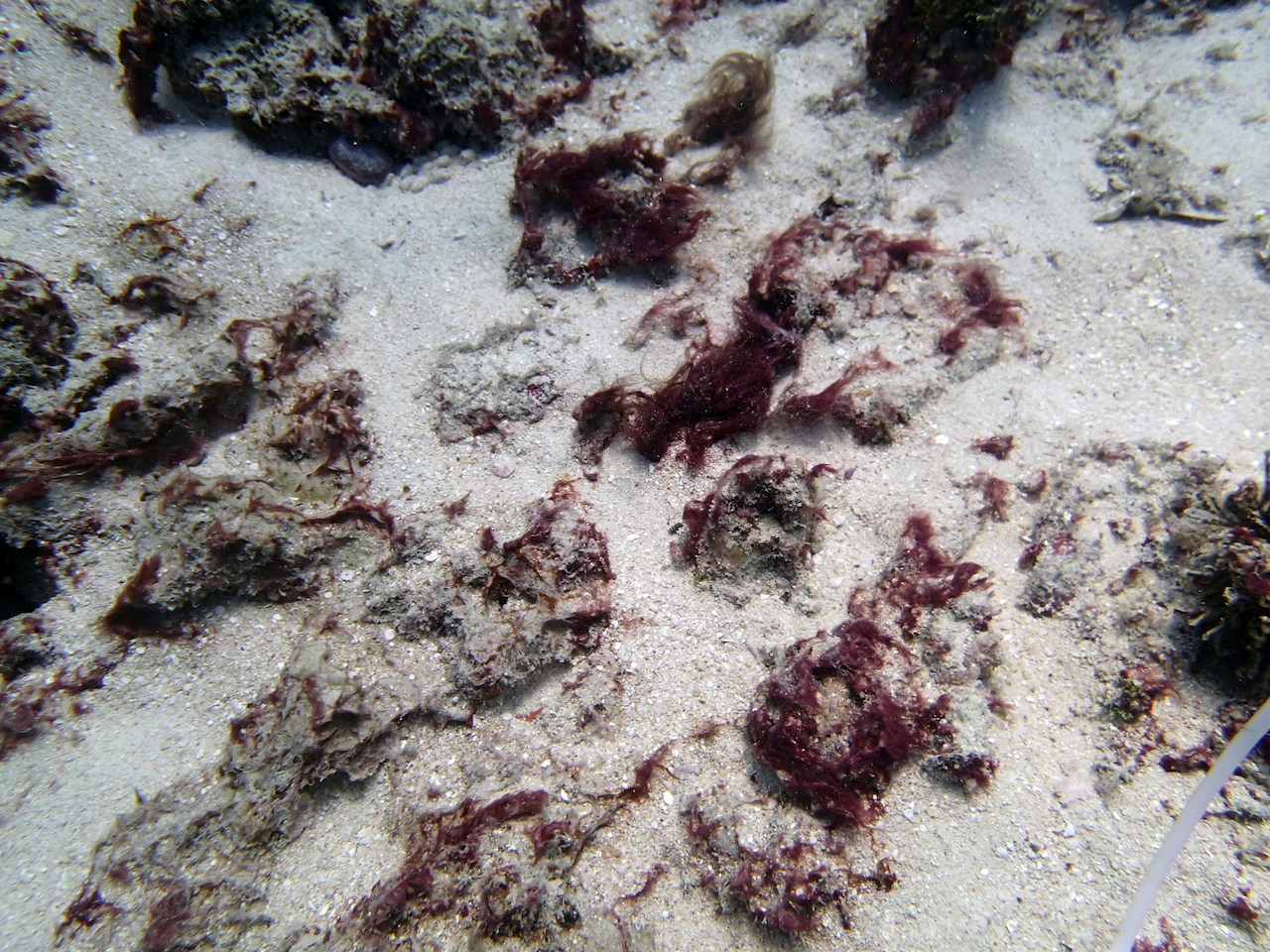 P9150118.png