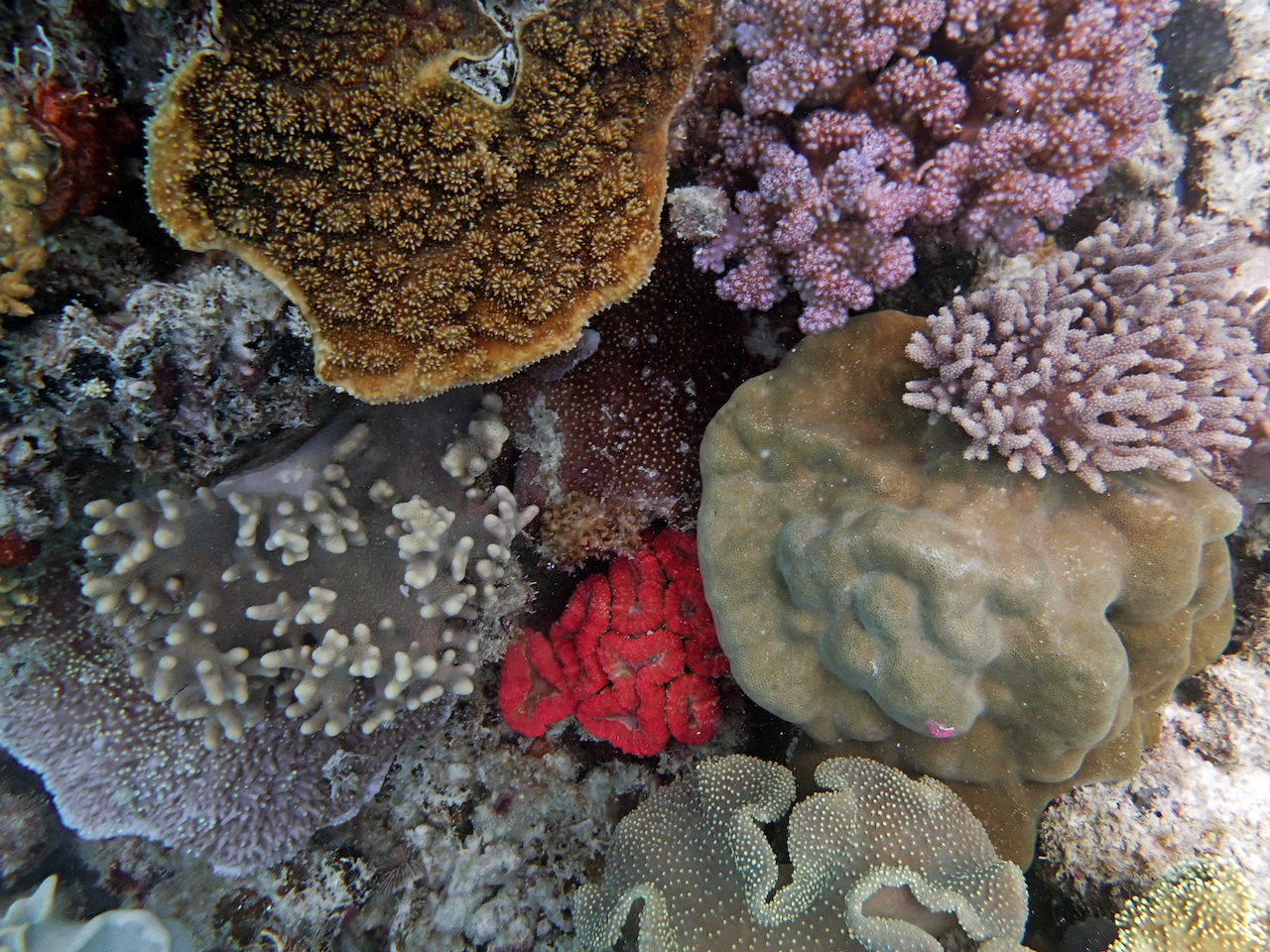 P9150139.png