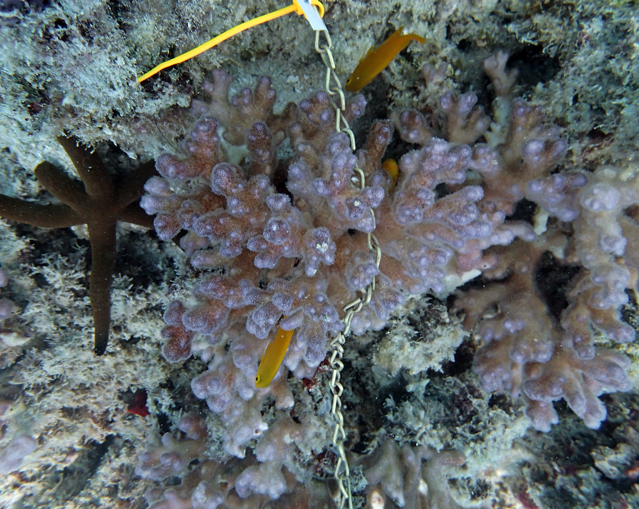 P9150131.png