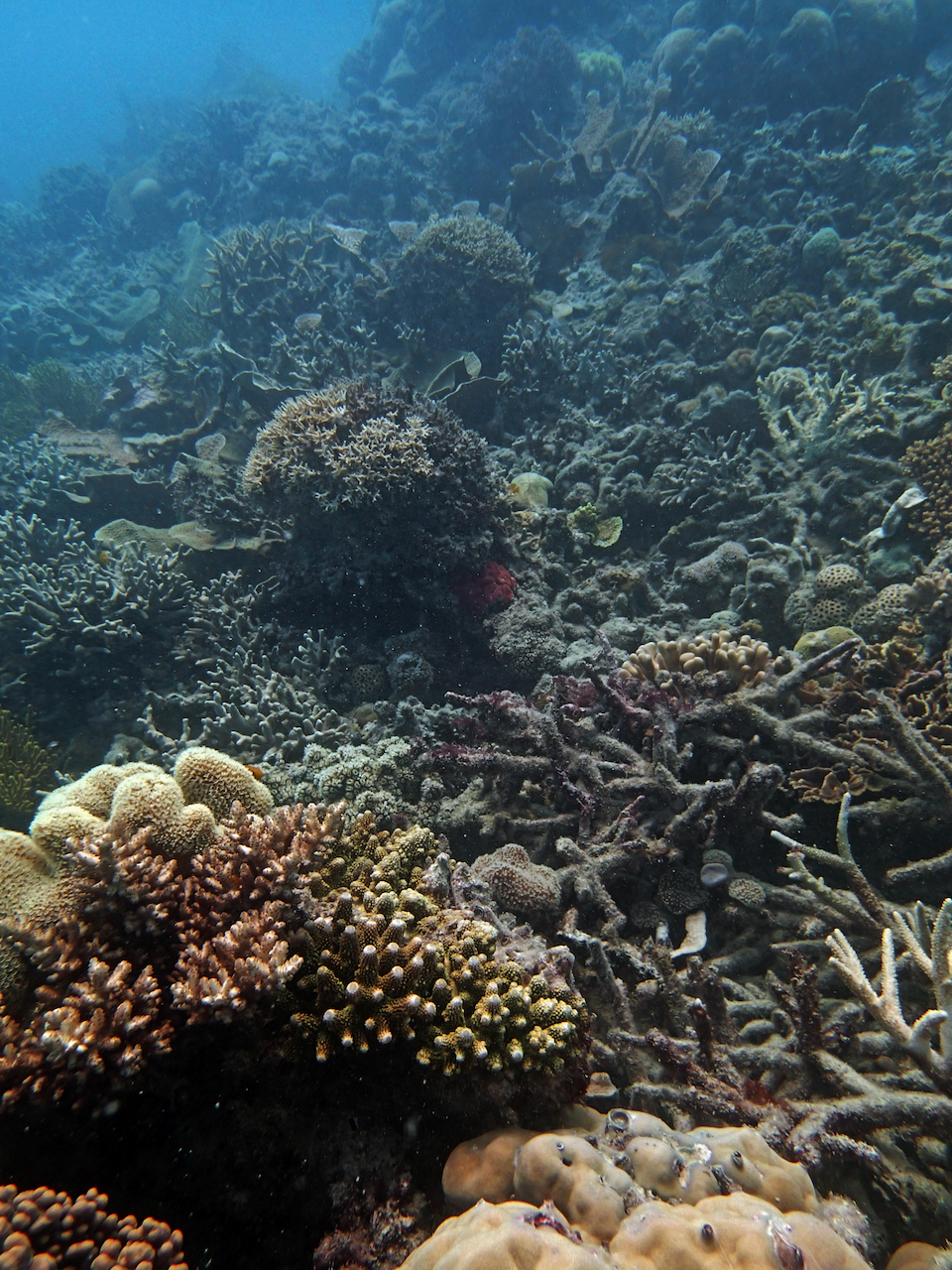 P9150149.png
