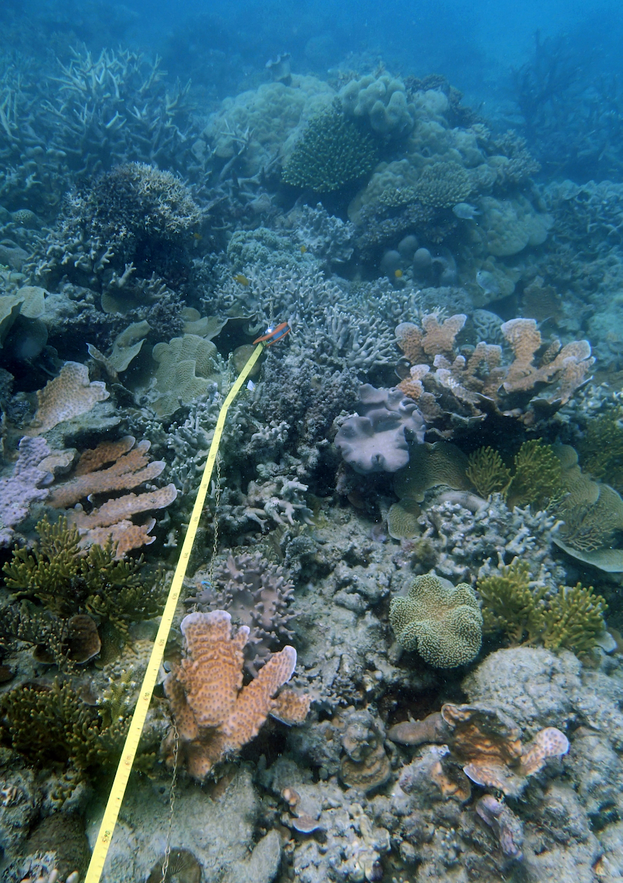 P9150156.png