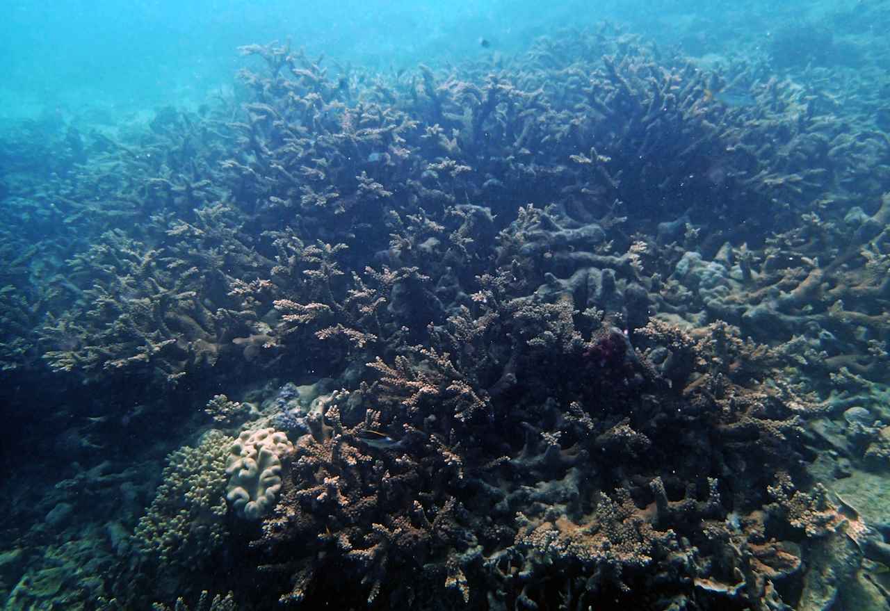 P9150166.png