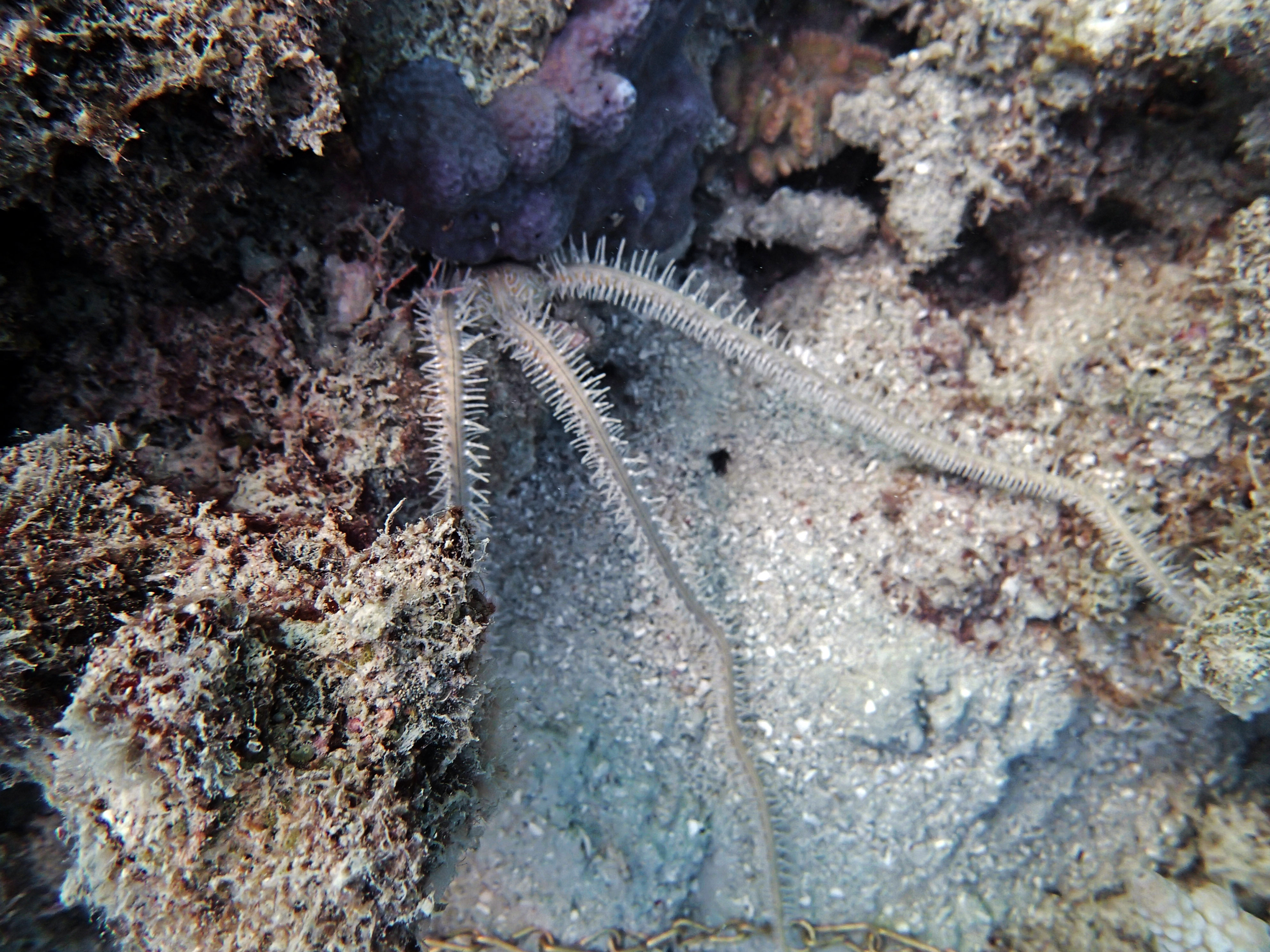 P9150178.png
