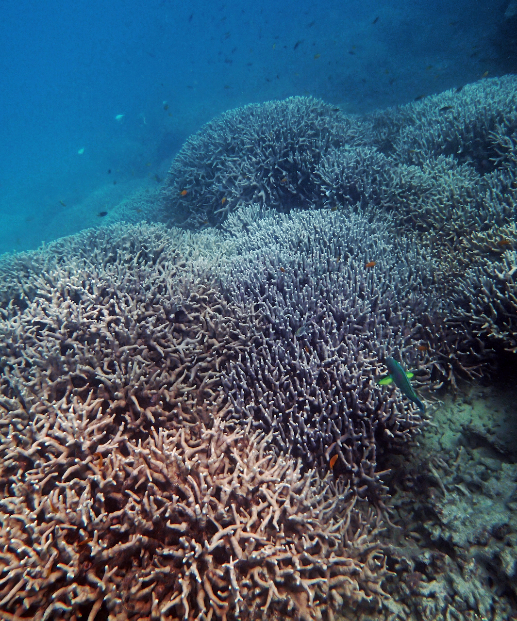P9170293.png
