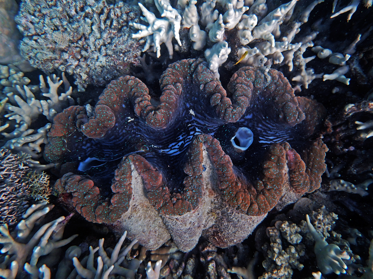 P9170304.png