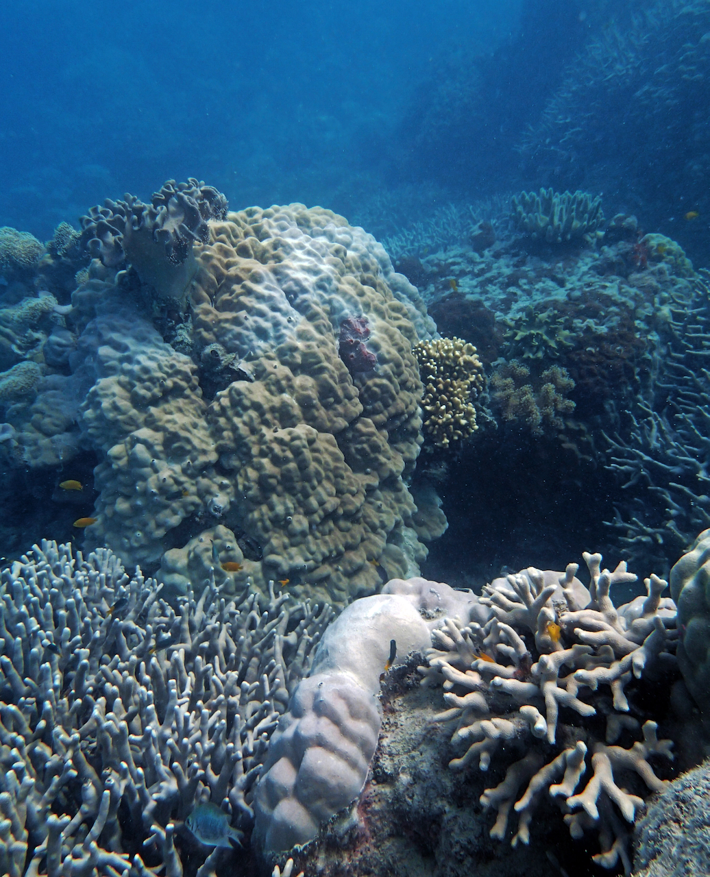 P9170292.png