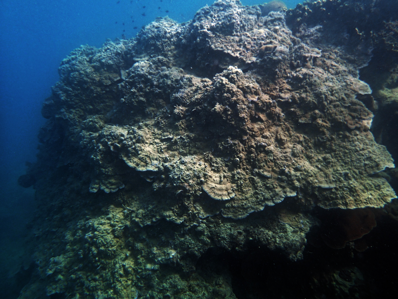 P9170294.png