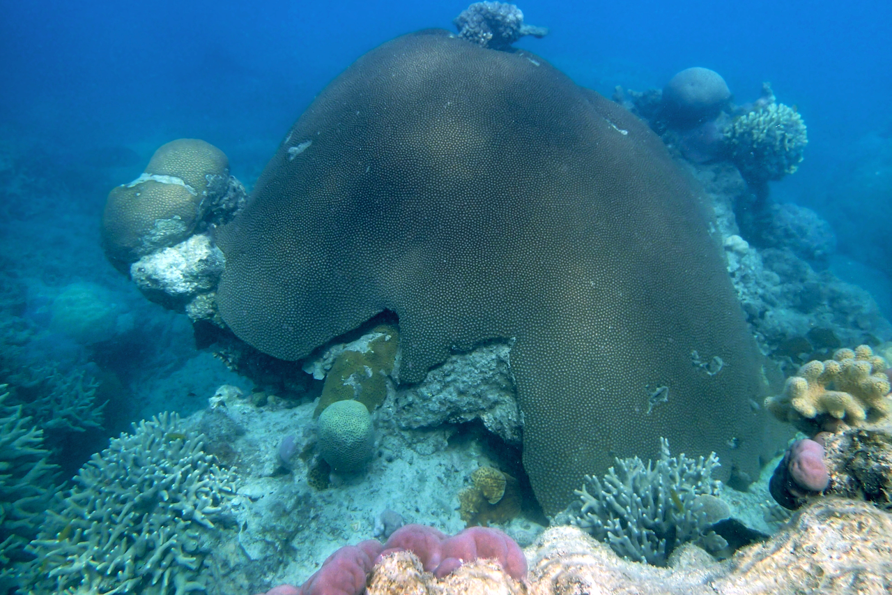 P9170311.png