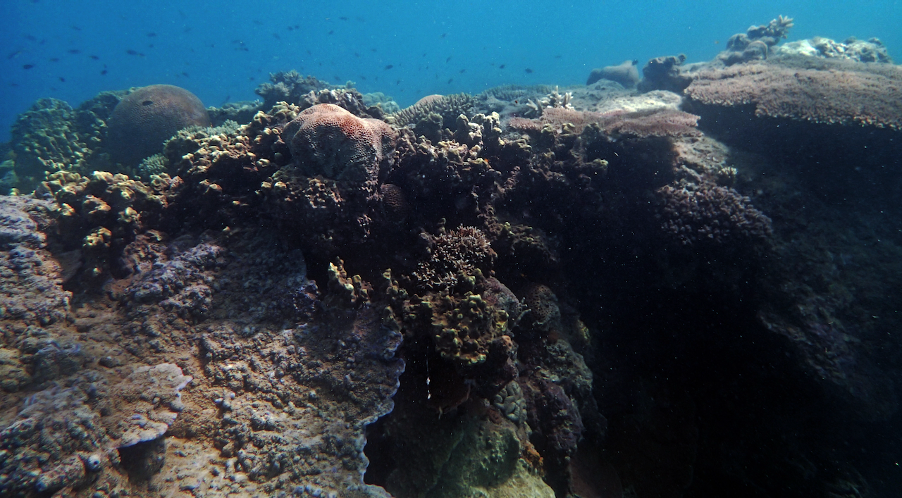 P9170296.png