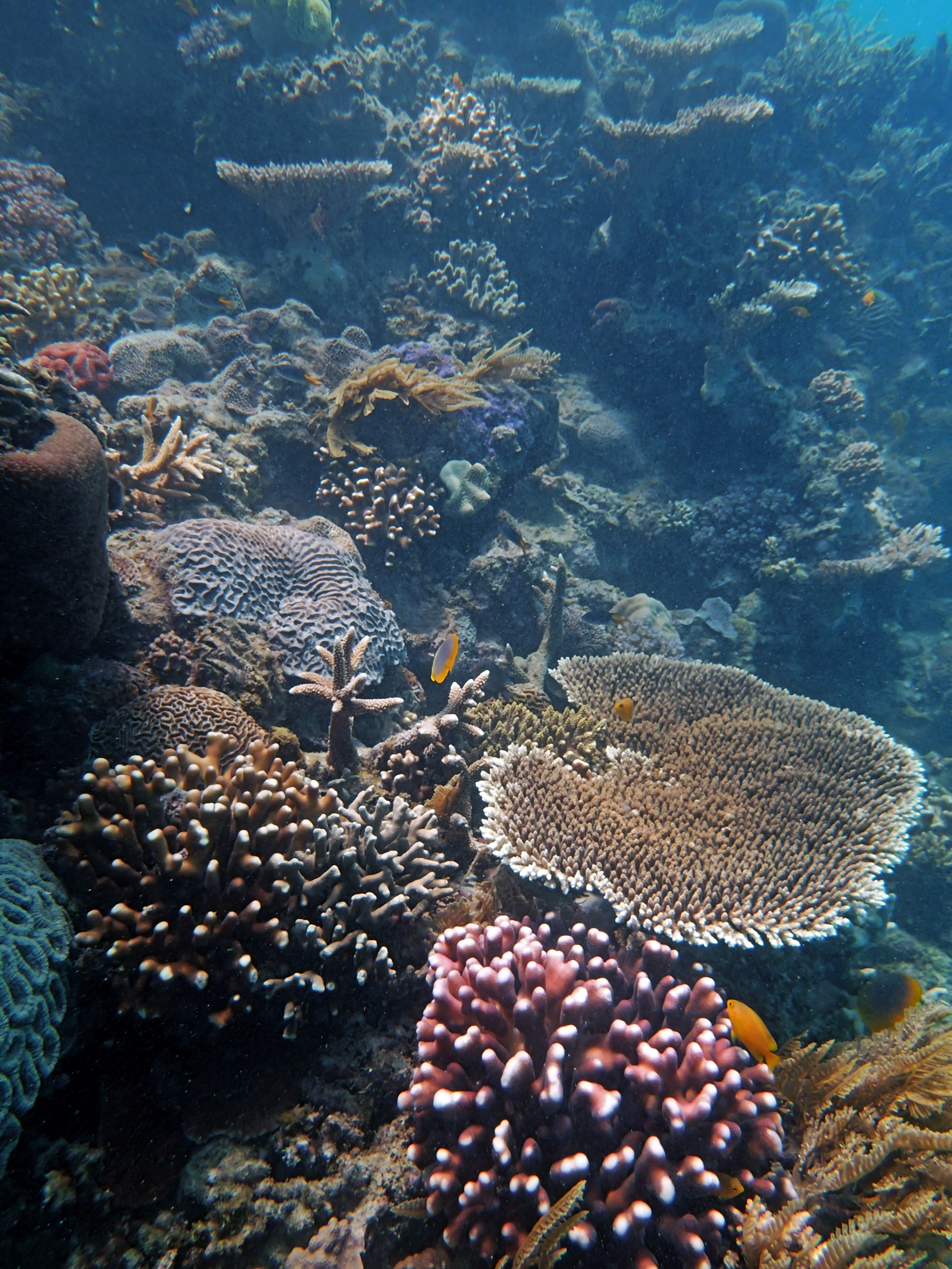 P9170336.png