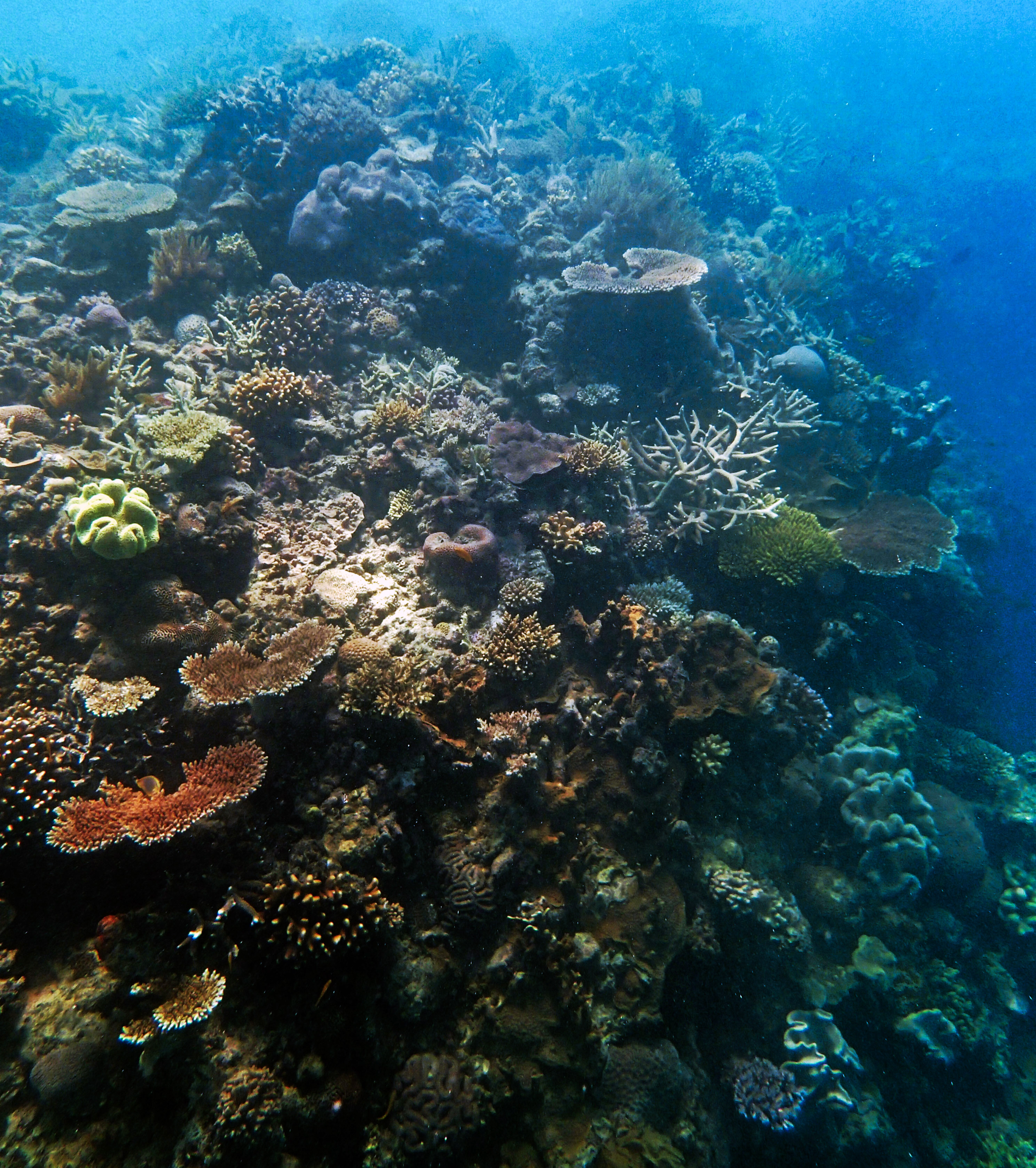 P9170337.png