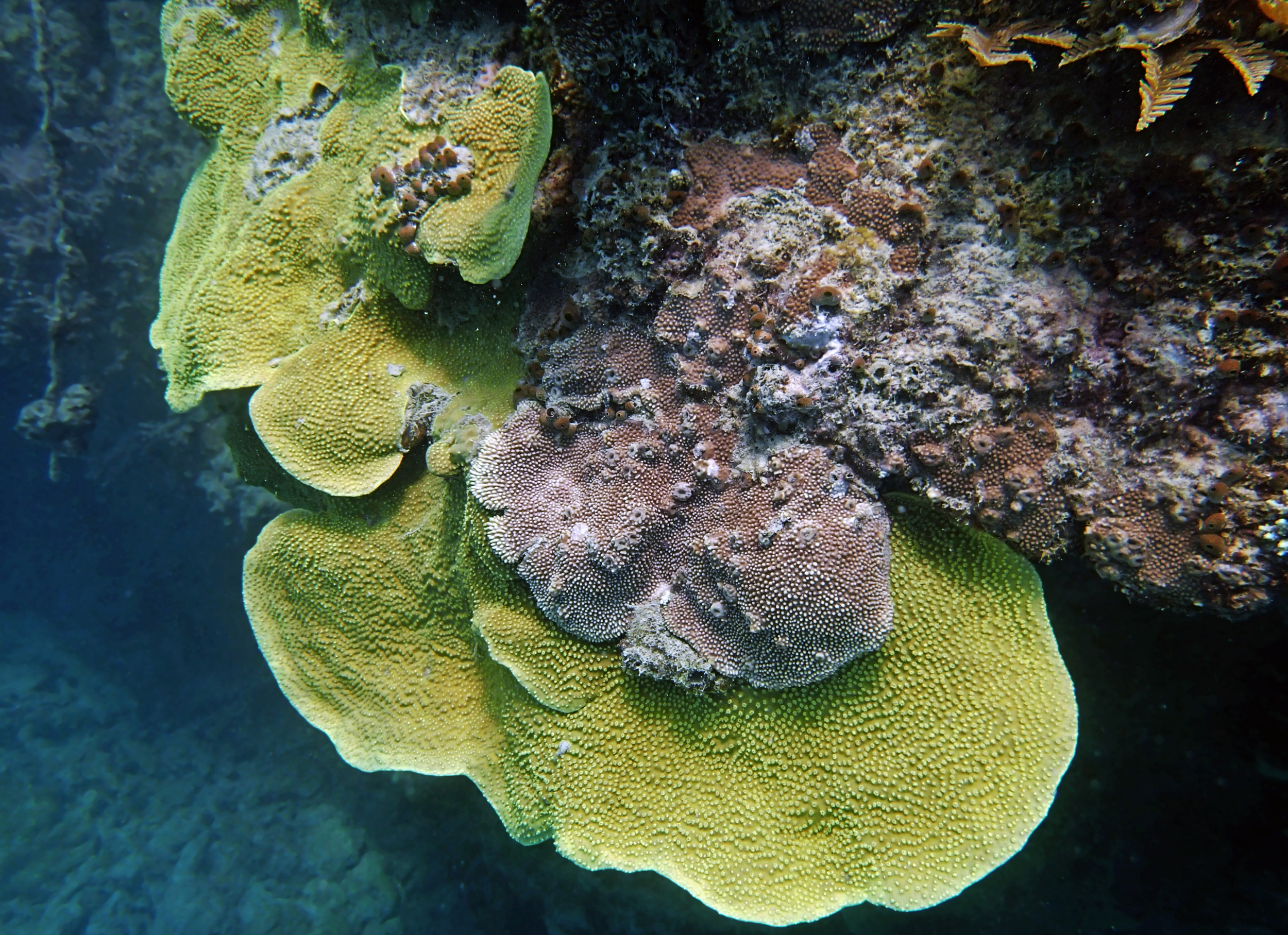 P9170335.png