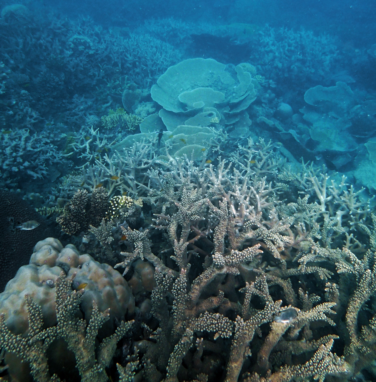 P9170381.png