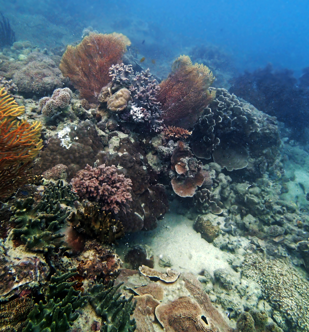 P9170342.png